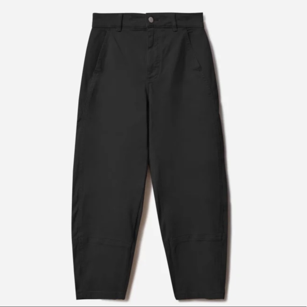 LIKE NEW Everlane Utility Barrel Pant
